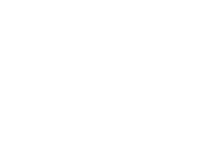 Mr Green logo
